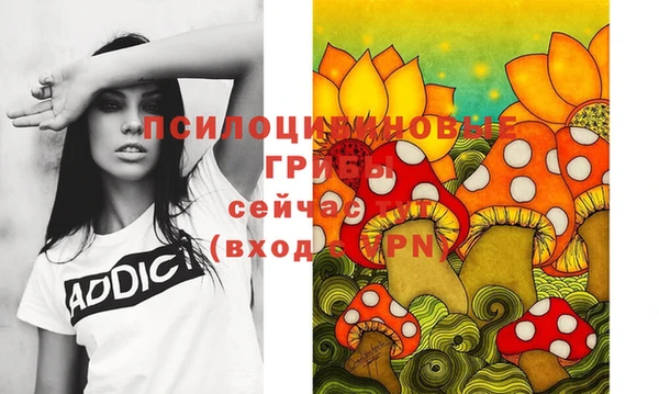 дурь Абаза