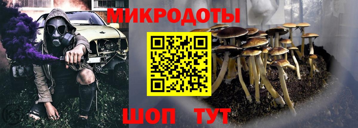 Псилоцибиновые грибы Psilocybe  Вход с VPN  Зеленодольск 